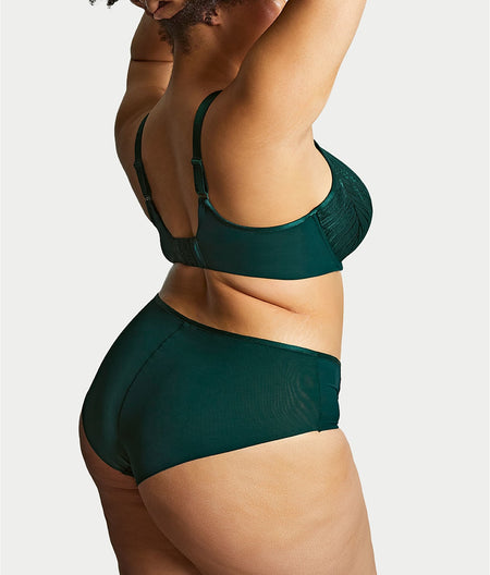 Illuminate Full Brief
