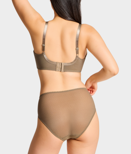 Retro Chic Hi-Cut Brief