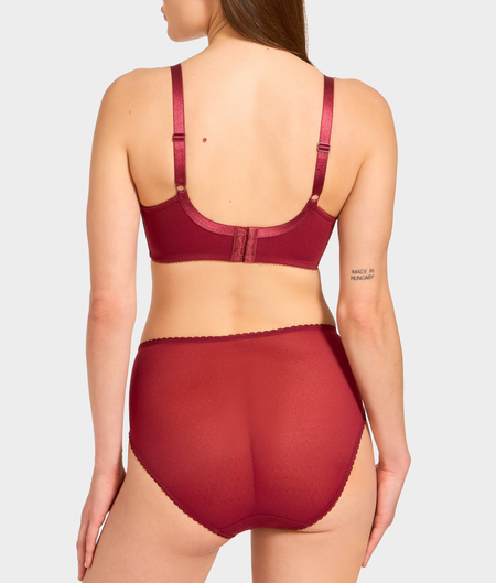 Retro Chic Hi-Cut Brief