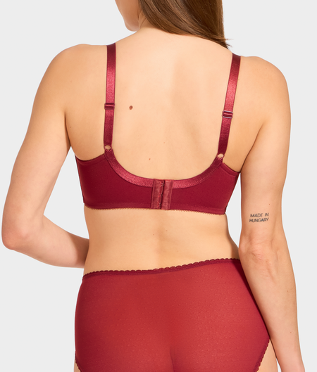 Retro Chic Bra