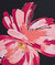 Black Ground Floral