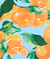 Clementine