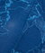 Poseidon