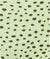 Lucky Dot