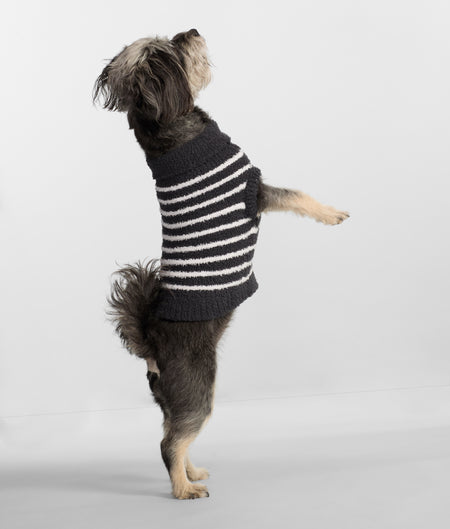The Cozy Dog Sweater
