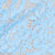 Cyaneus