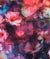 Cherry Blossom