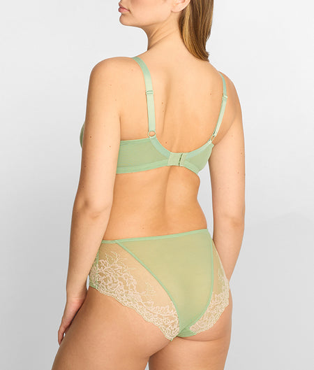 Ana Lacey Full Brief